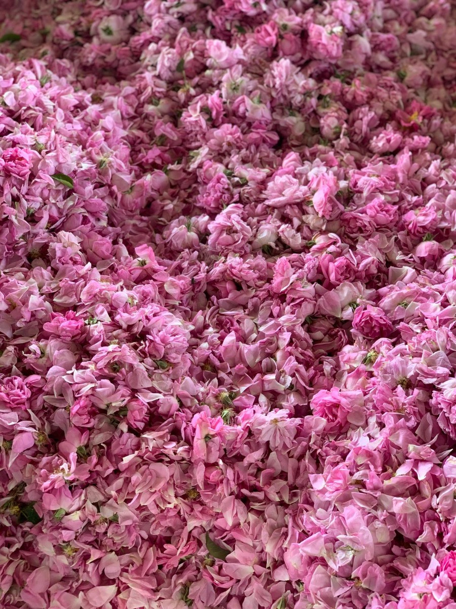 THE ROSE GENIE - ORGANIC ROSE WATER SPRAY